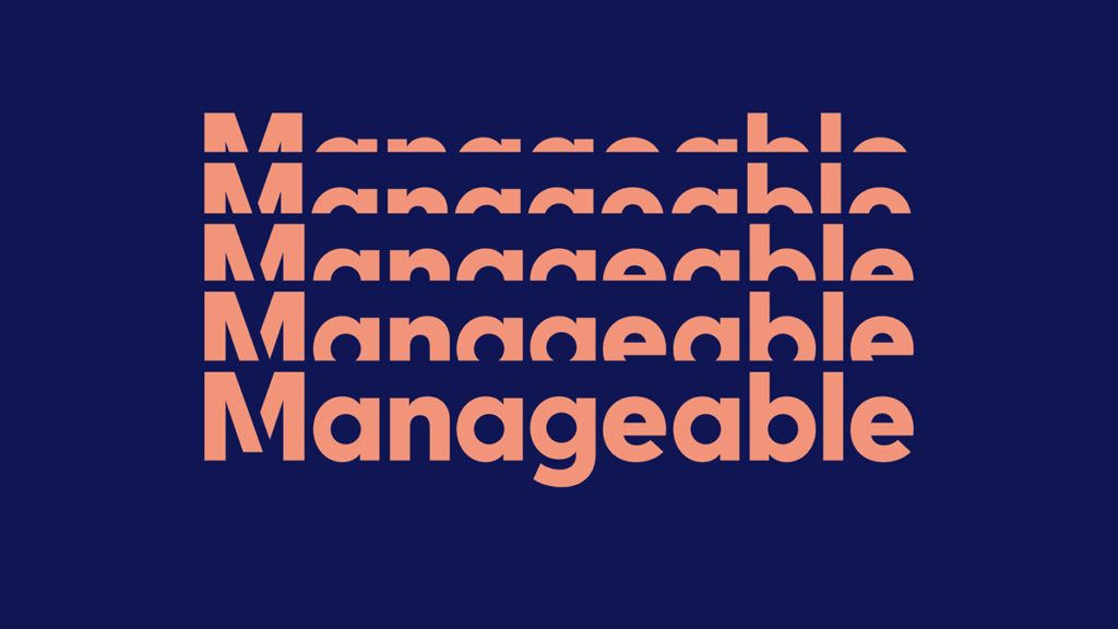 B!G Mentor Offer – Manageable
